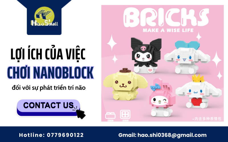 Nanoblock