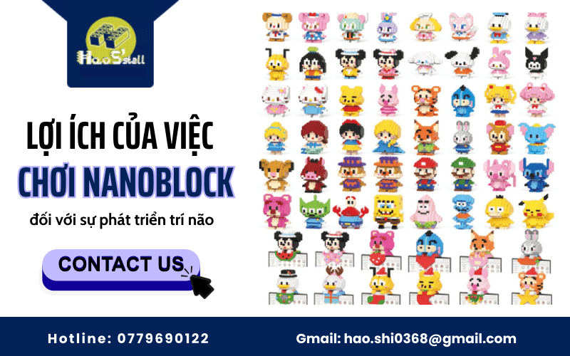 Nanoblock