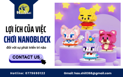 Lợi ích của việc chơi Nanoblock đối với sự phát triển trí não